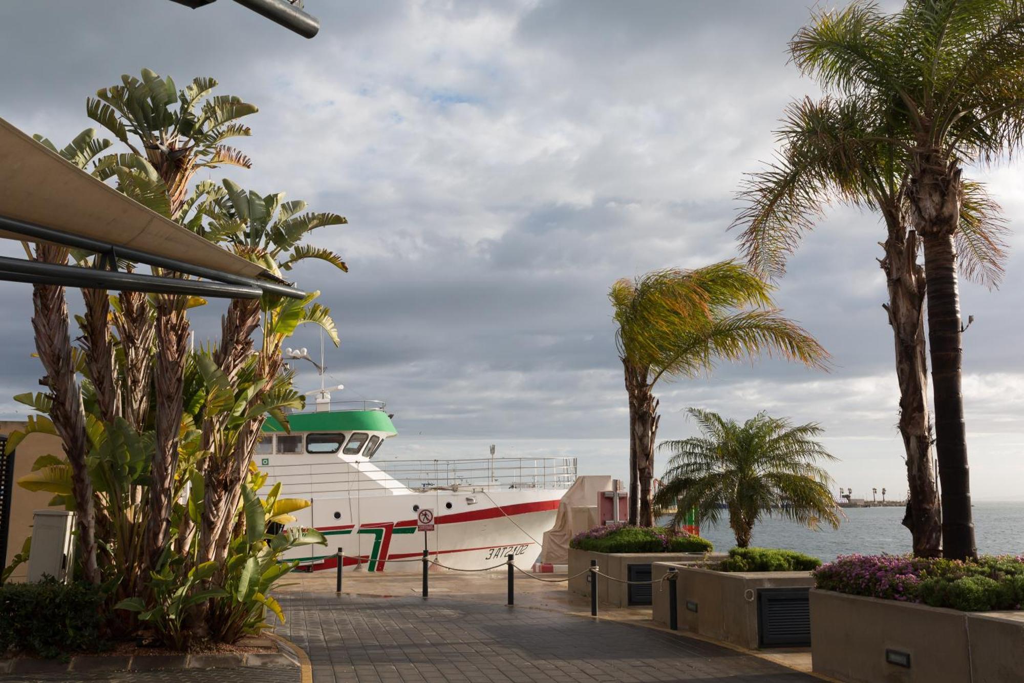 Villa Petirrojo Santa Pola Esterno foto